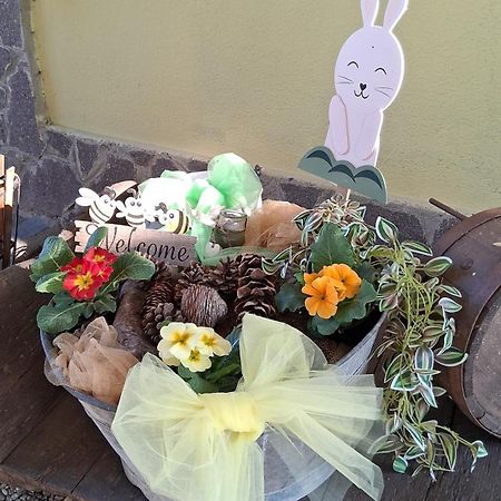B&B Barbettini 베레구아르도 외부 사진